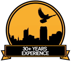 30+ Years Experience Badge